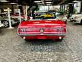 Ford Mustang V8 302 5,0l Cabrio Scheibenbr. Servol. Rood - thumbnail 6