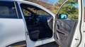 Renault Kadjar TCe 160 EDC 7-G-Automatik Black Edition Blanc - thumbnail 14