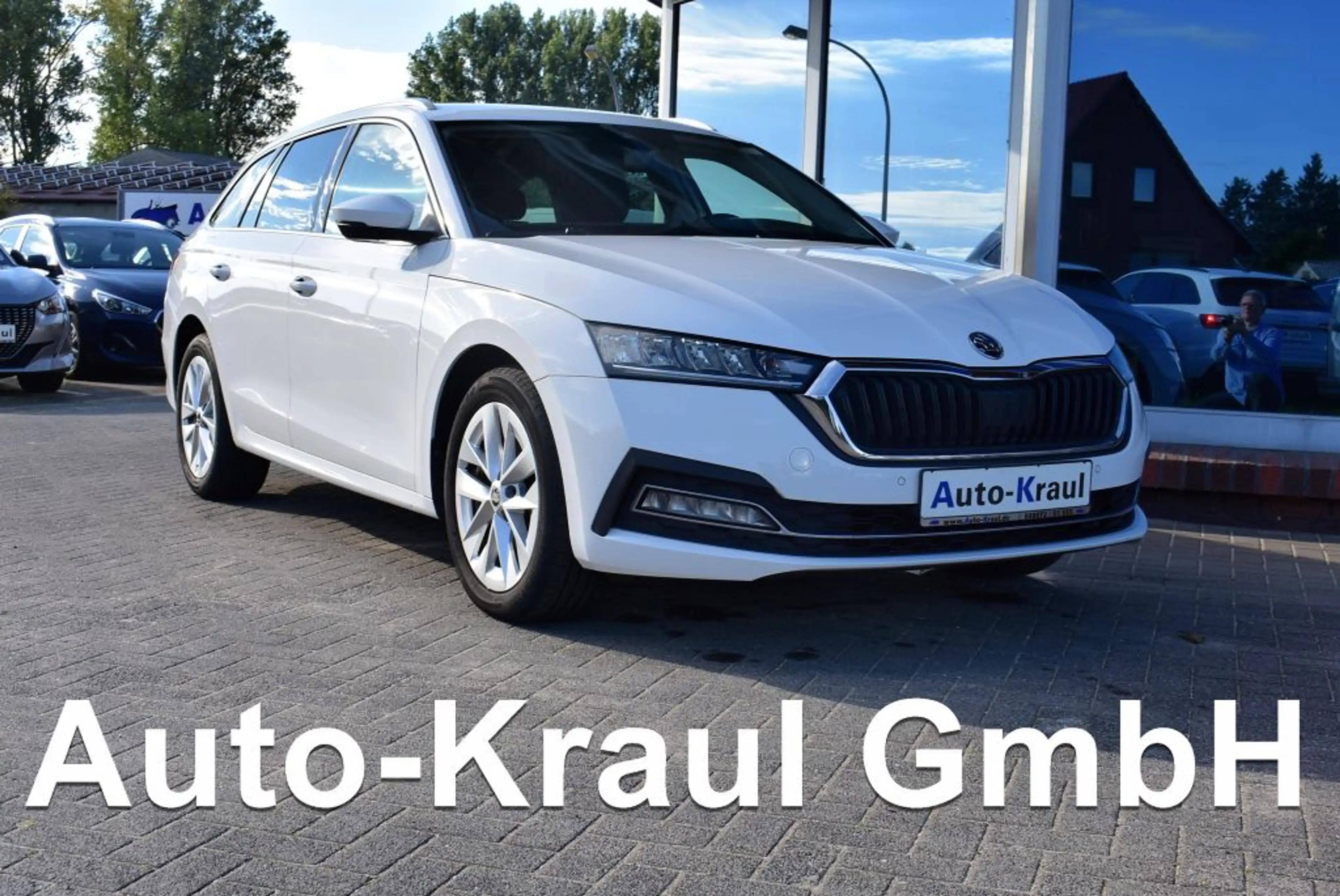 Skoda Octavia Combi 2.0 TDI Style Led-Scheinwerfer Navi Alu Klim