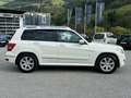 Mercedes-Benz GLK 220 CDI 4-Matic *PICKERL 09/2026* Weiß - thumbnail 7