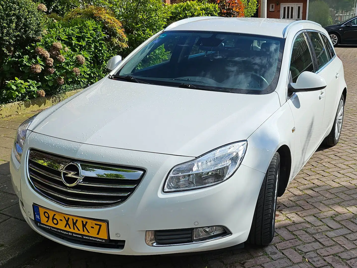 Opel Insignia 1.4 T EcoF. Edit. Wit - 1