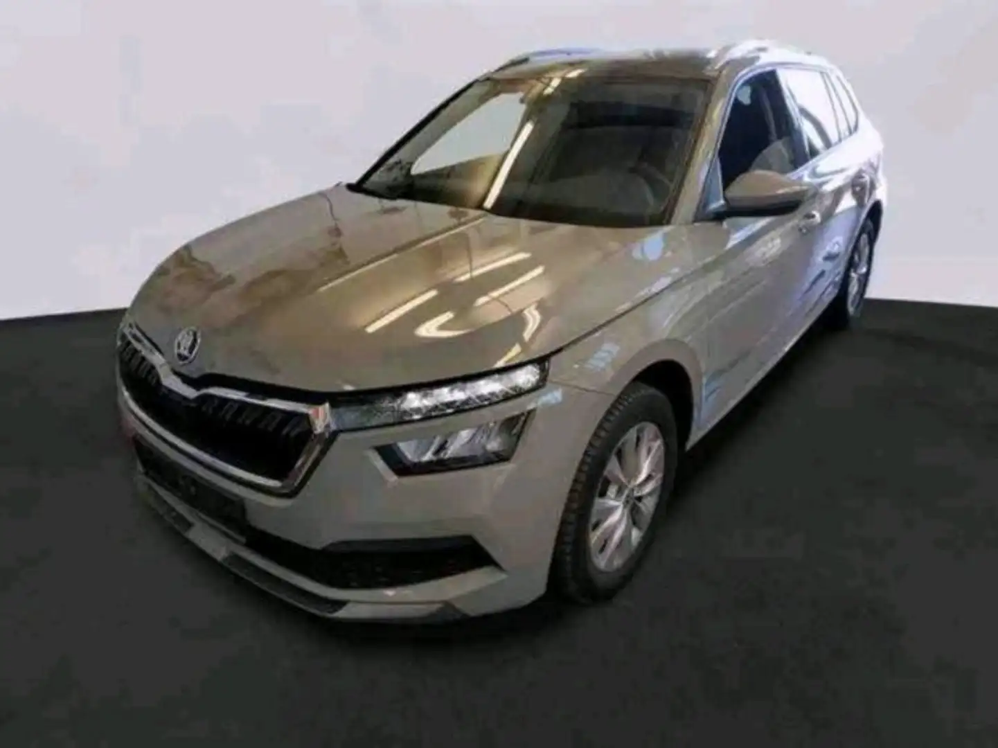 Skoda Kamiq Kamiq 1.0 g-tec Ambition 90cv Grigio - 1