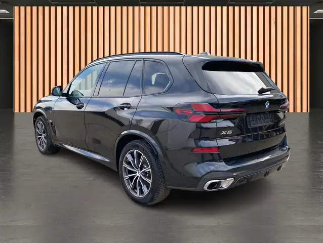BMW X5 view 8