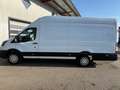 Ford Transit Transit Kasten 2,0 EcoBlue L4H3 350 Trend Weiß - thumbnail 8