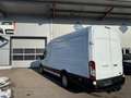Ford Transit Transit Kasten 2,0 EcoBlue L4H3 350 Trend Weiß - thumbnail 7