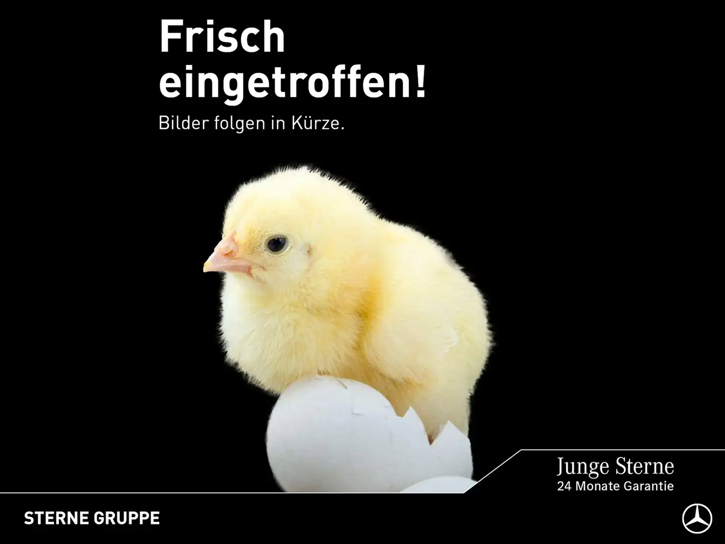 Mercedes-Benz GLE 53 AMG Mercedes-AMG GLE 53 4M+ NIGHT AHK Wide Dist Pano Blanc - 1