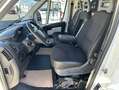 Citroen Jumper Kasten HDi L2H1 +Regale+Standhzg+AHK+120kw+ Alb - thumbnail 11