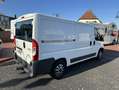 Citroen Jumper Kasten HDi L2H1 +Regale+Standhzg+AHK+120kw+ Alb - thumbnail 9