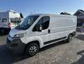 Citroen Jumper Kasten HDi L2H1 +Regale+Standhzg+AHK+120kw+ Alb - thumbnail 7