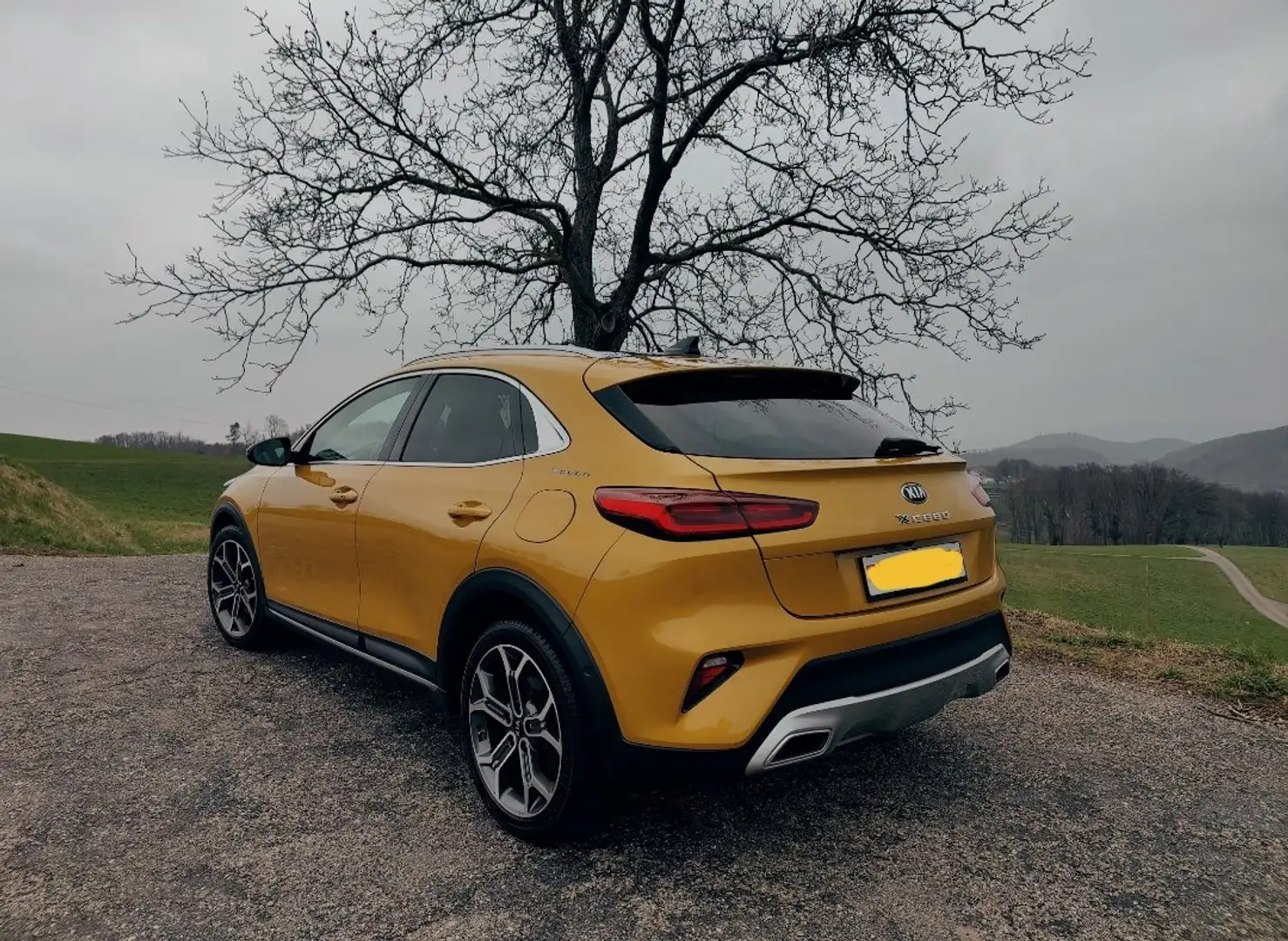 Kia XCeed XCeed 1.4 T-GDI OPF LAUNCH EDITION Золотистый - 2
