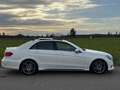 Mercedes-Benz E 350 E 350 d AMG PANO COMAND MEMORY 360°KAMERA Blanc - thumbnail 6
