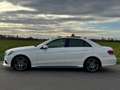 Mercedes-Benz E 350 E 350 d AMG PANO COMAND MEMORY 360°KAMERA Blanc - thumbnail 4