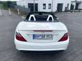 Mercedes-Benz SLK 200 SLK-Klasse (BlueEFFICIENCY) 7G-TRONIC Weiß - thumbnail 11