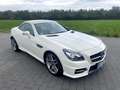Mercedes-Benz SLK 200 SLK-Klasse (BlueEFFICIENCY) 7G-TRONIC Weiß - thumbnail 9