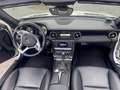 Mercedes-Benz SLK 200 SLK-Klasse (BlueEFFICIENCY) 7G-TRONIC Weiß - thumbnail 6