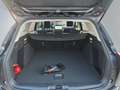 Ford Focus Active X 1,0 155PS aAHK/Navi/Kamera/Winterp.     * Gris - thumbnail 18