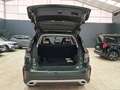 Livan 1.5 VVT 174CV Groen - thumbnail 34