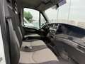 Iveco Daily 35S15/2.3/DOPPIA CABINA/2009 Bianco - thumbnail 8