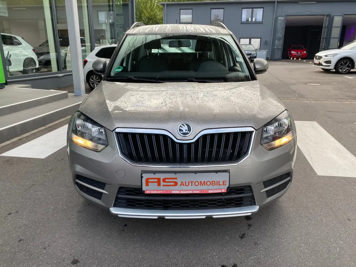 Skoda Yeti Active Beige - 2