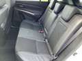 Suzuki SX4 S-Cross S-Cross 1.4 Comfort+ Allgrip Hybrid Weiß - thumbnail 14