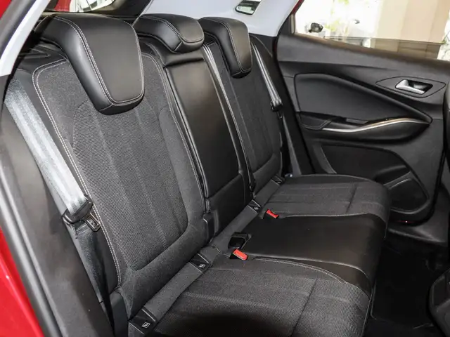 Opel Grandland view 5