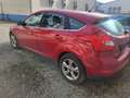 Ford Focus Champions Edition Rouge - thumbnail 5