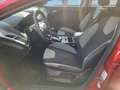Ford Focus Champions Edition Rouge - thumbnail 6
