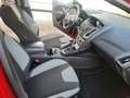 Ford Focus Champions Edition Rouge - thumbnail 8