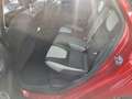 Ford Focus Champions Edition Rouge - thumbnail 7