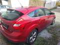 Ford Focus Champions Edition Rouge - thumbnail 4