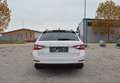 Skoda Superb Kombi 2,0 TDI Ambition DSG Weiß - thumbnail 10