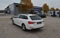 Skoda Superb Kombi 2,0 TDI Ambition DSG Weiß - thumbnail 8