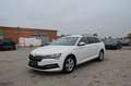 Skoda Superb Kombi 2,0 TDI Ambition DSG Weiß - thumbnail 2