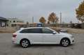 Skoda Superb Kombi 2,0 TDI Ambition DSG Weiß - thumbnail 7