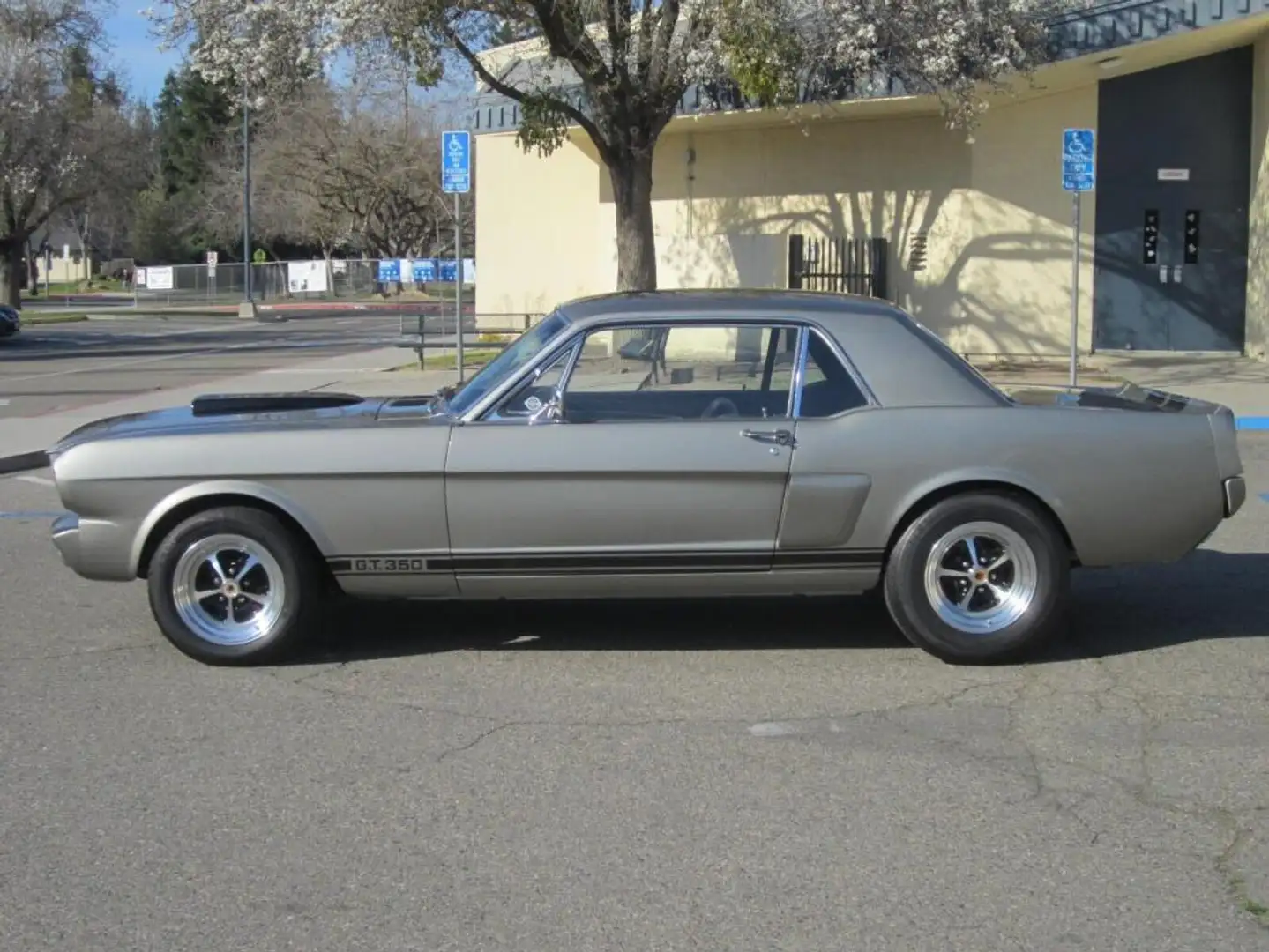 Ford Mustang Coupe. "Shelby GT350" - 2