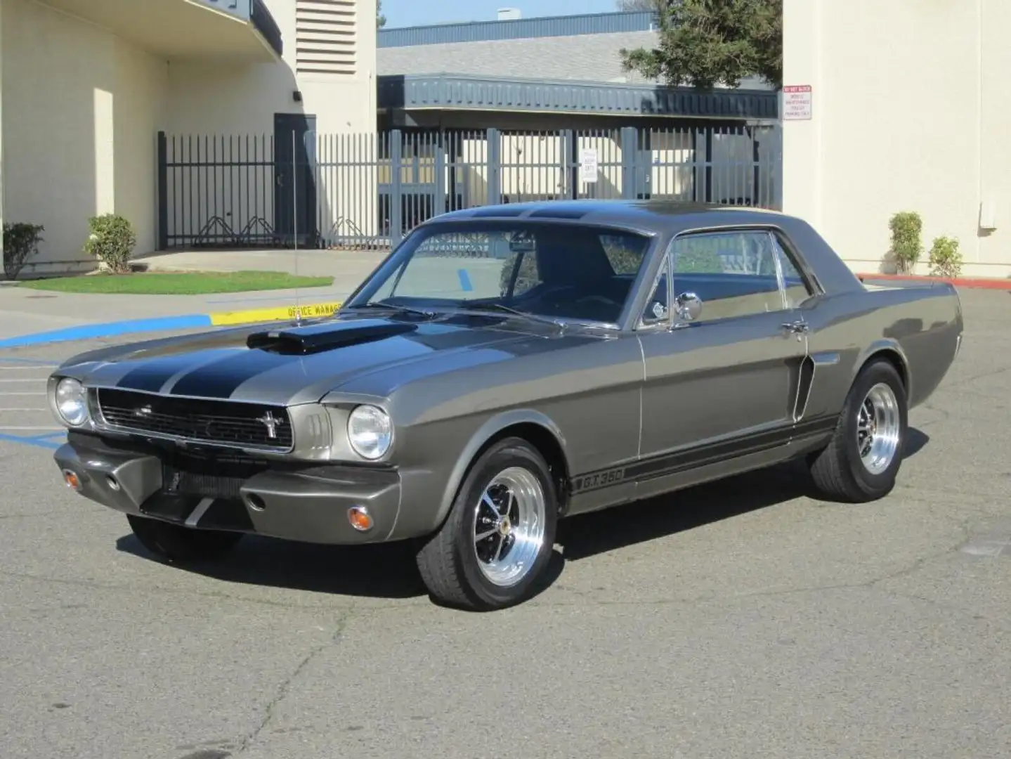 Ford Mustang Coupe. "Shelby GT350" - 1