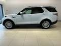 Land Rover Discovery SDV6 HSE ACC SD 20'' AHK STANDHEIZUNG Bianco - thumbnail 3