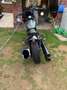 Indian Scout Scout Rogue Zelená - thumbnail 4