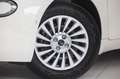 Fiat 500e 500 Elektro 500 42 kWh Weiß - thumbnail 2