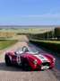 AC Cobra Rot - thumbnail 1
