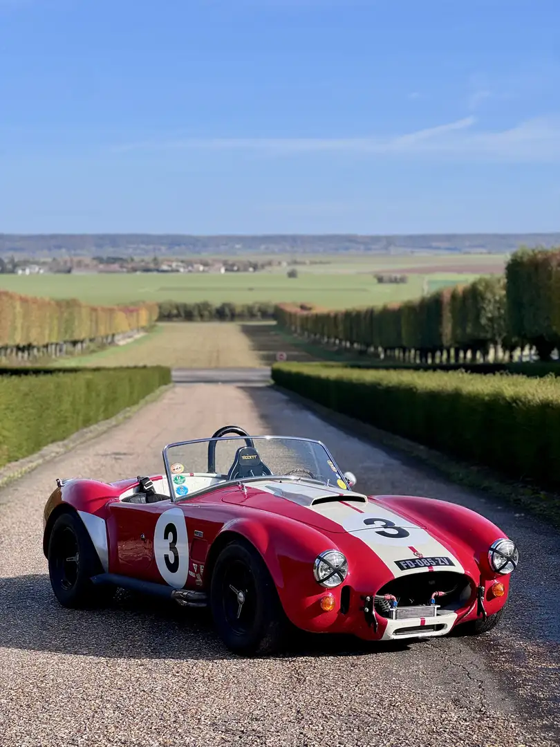 AC Cobra Rot - 1