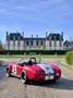 AC Cobra Rot - thumbnail 7