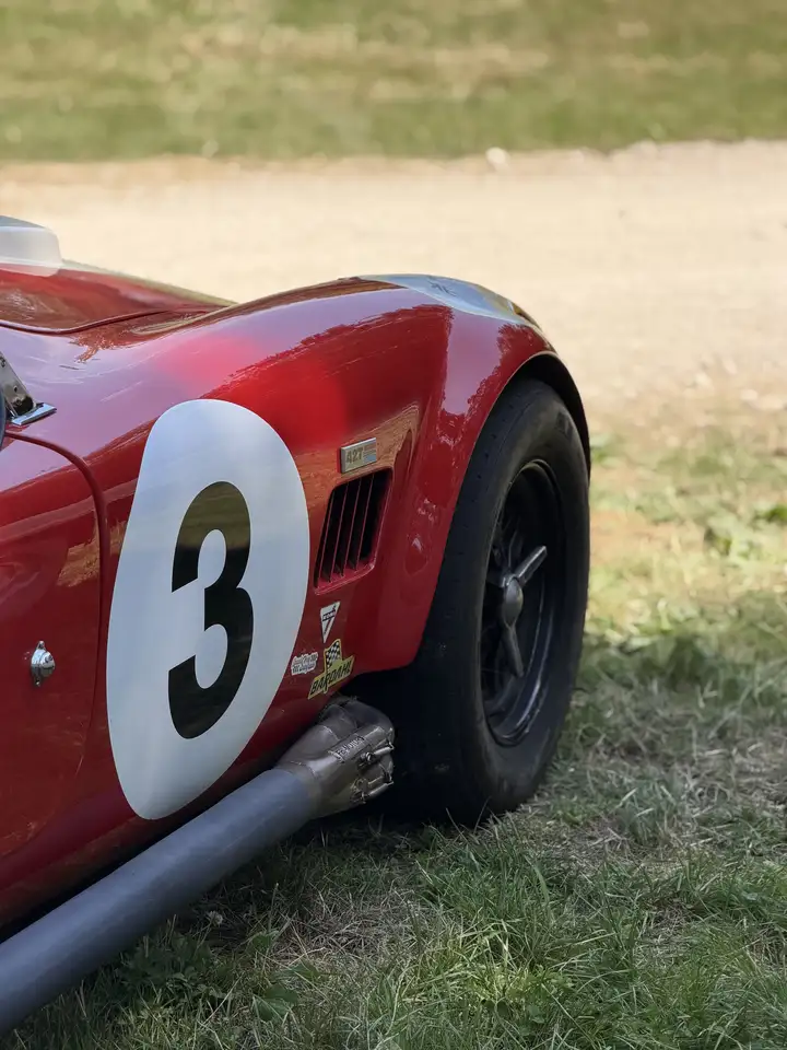 AC Cobra, foto 3