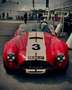 AC Cobra Rot - thumbnail 10