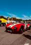 AC Cobra Rot - thumbnail 9