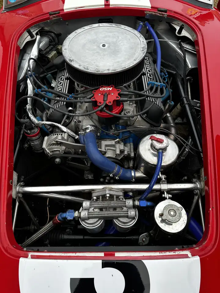 AC Cobra, foto 6