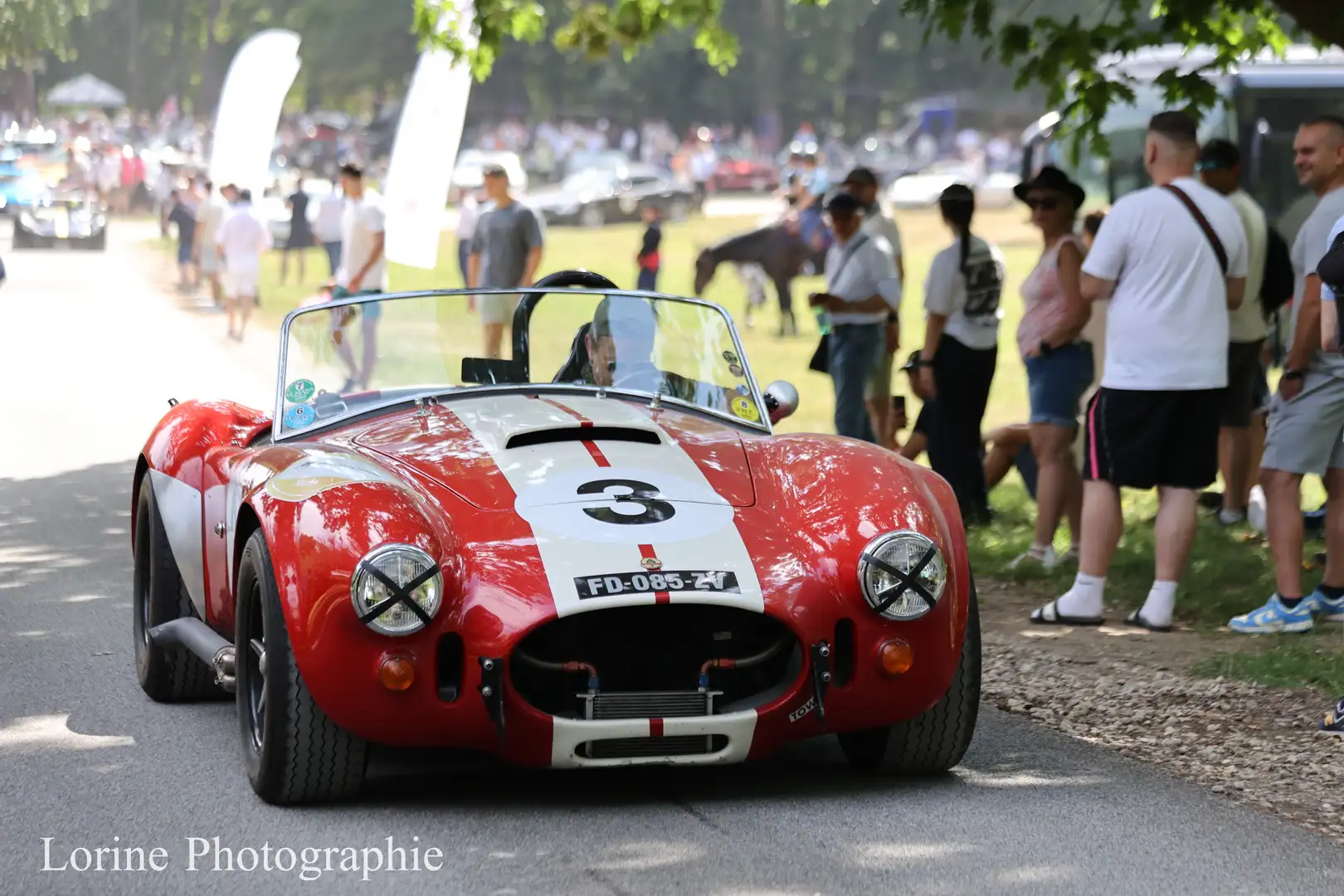 AC Cobra Rot - 2