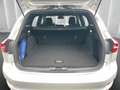 Ford Focus ST-Line Turnier DIESEL AUT *Aktion HP Sale* SHZ LE Silber - thumbnail 19
