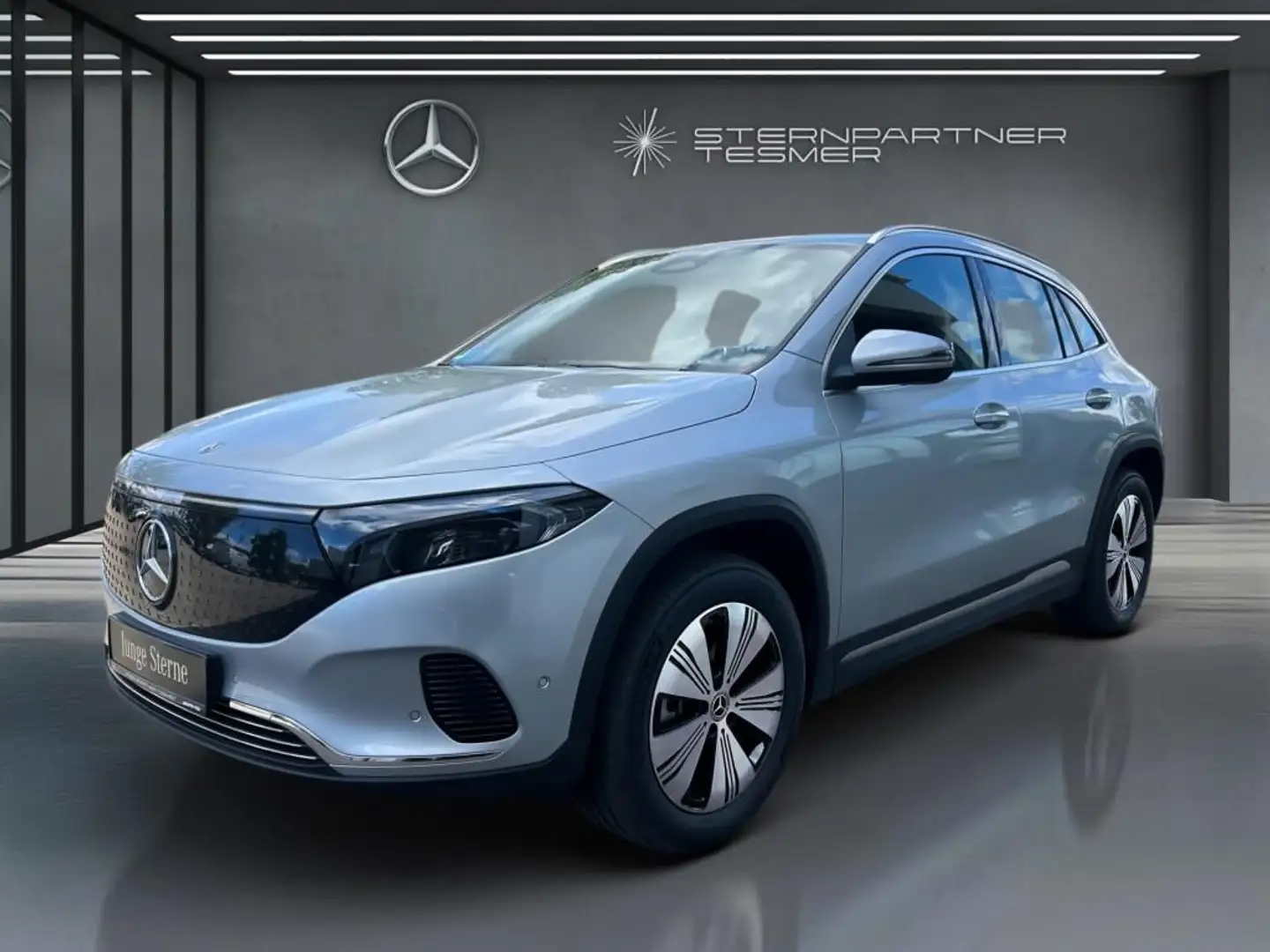 Mercedes-Benz EQA 300 4M +Progressive+KAMERA+Ambiente+SHZ+LED Gümüş rengi - 2