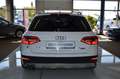 Audi A4 allroad quattro 2.0 TDI AUTOMATIK / Bi-XENON Weiß - thumbnail 6